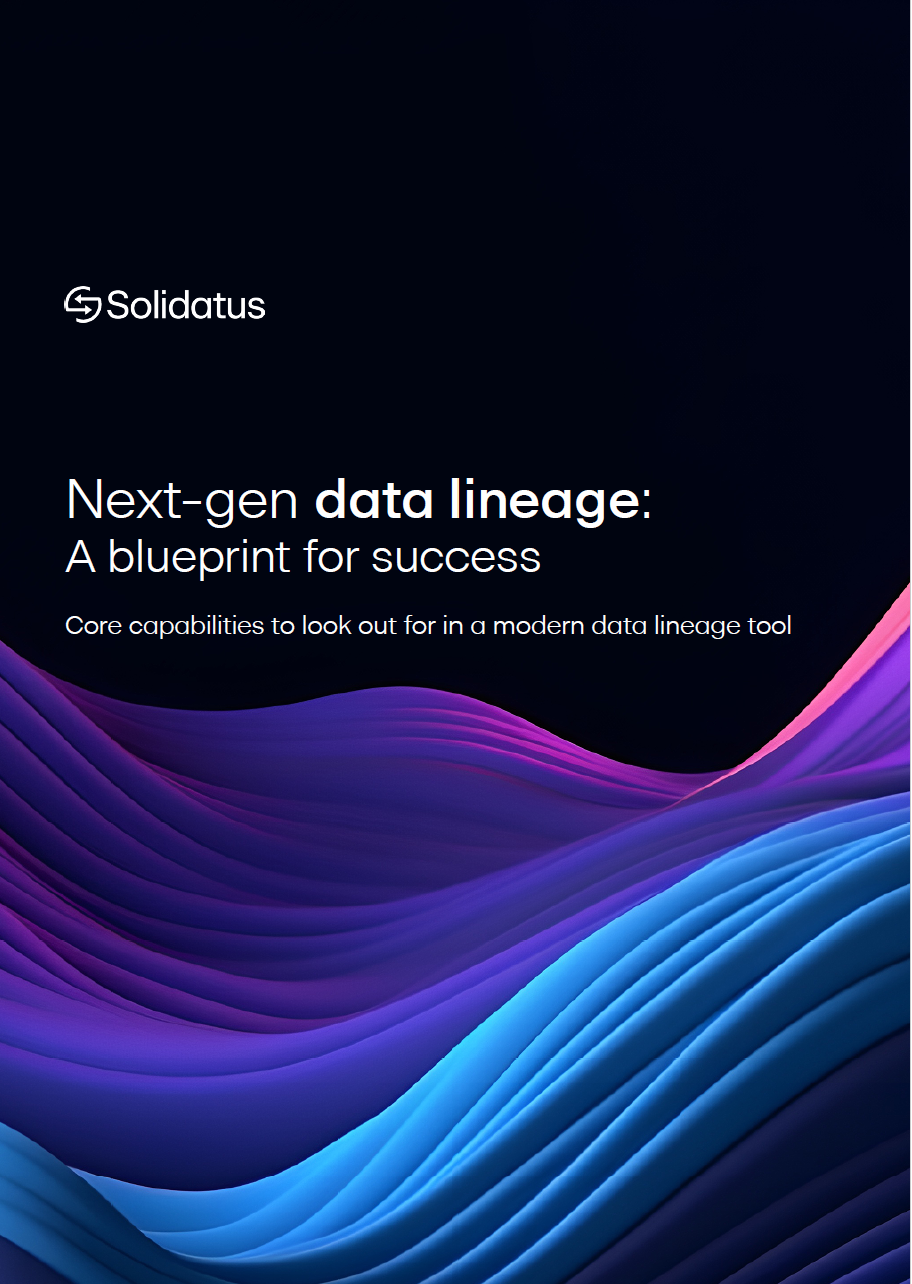 Data lineage blueprint solidatus 1